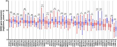 Pan-Cancer Analysis of NOS3 Identifies Its Expression and Clinical Relevance in Gastric Cancer
